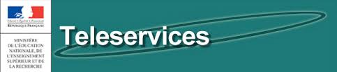logo teleservices
